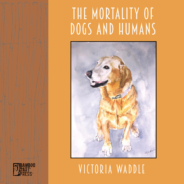 The front cover of the chapbook "The Mortality of Dogs and Humans" includes an image of a Labrador retriever. 